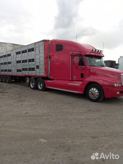 Скотовозы,перевозка,доставка скота,свине,коров,крс