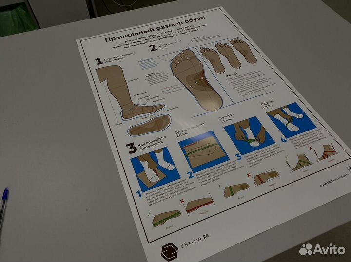 Плакат «Размер обуви» А1