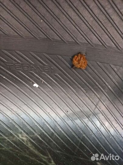 Dunlop Grandtrek AT3 245/70 R16 T