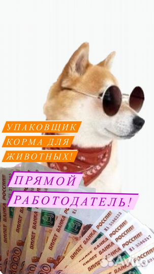 Вахта 15 смен/Еженедельные выплаты/Упаковщик