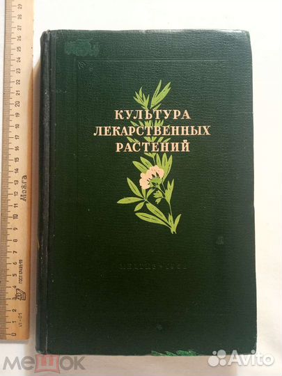 Культура (выращивание) лекарственных растений 1952