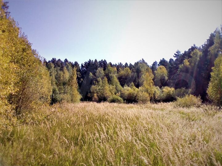 Участок 1,3 га (СНТ, ДНП)