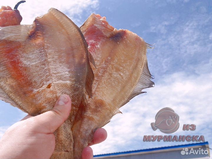 Ерш Мурманский