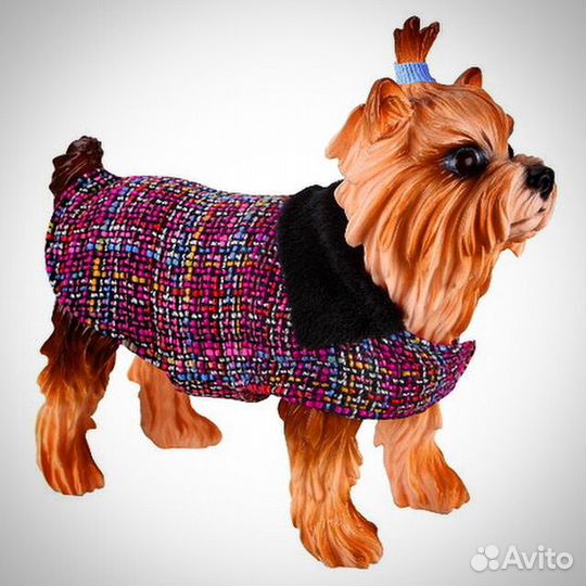 Одежда для собак