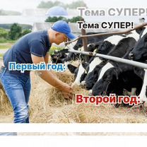 Животноводческое агентство в городе, Киев
