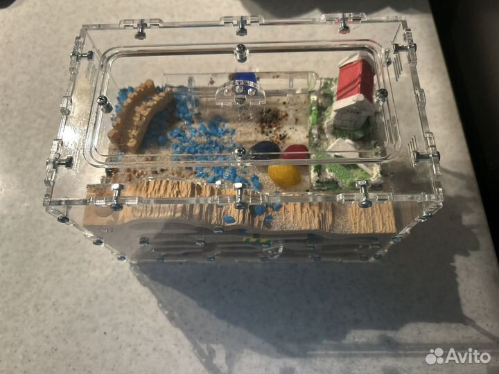 Муравьиная ферма без муравьев