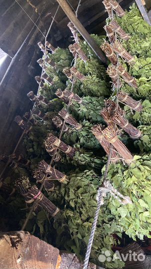 Банные веники Оптом Розница Веники