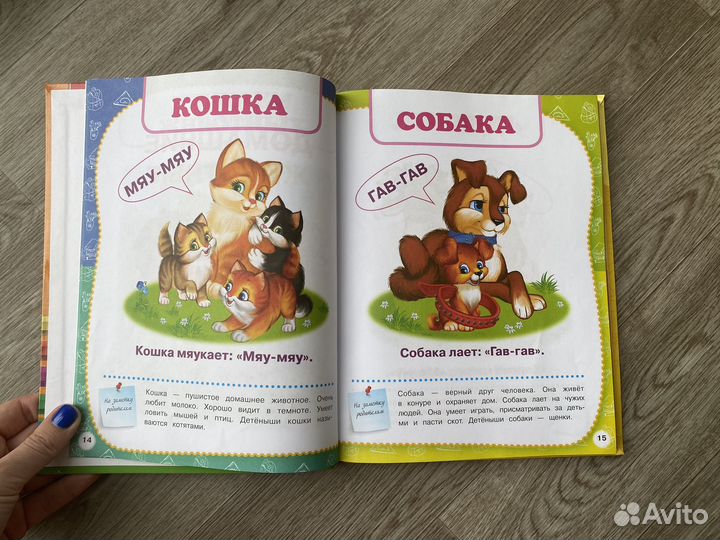 Полный годовой курс занятий 1-2 года