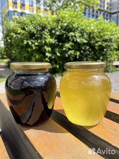 Свежий натуральный мёд Каштан и Белая Акация 2023