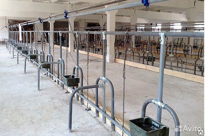 Стойловое содержание крс 100 голов под ключ