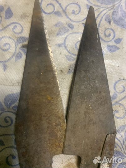 Ножницы для стрижки овец