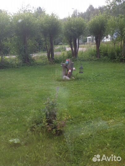Покос травы