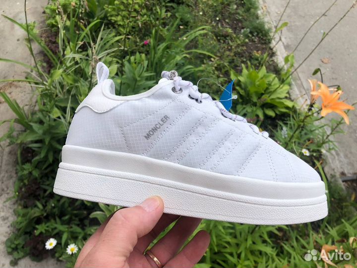 Женские кроссовки moncler X adidas campus