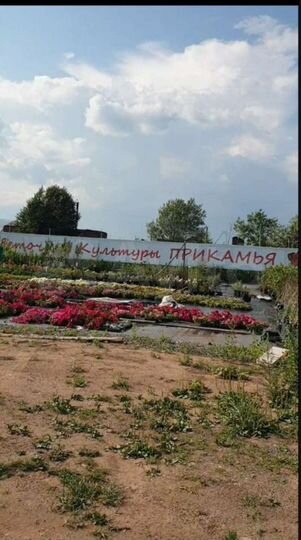 Здание 1250 кв.м. и 3,5 Га, под сельское хозяйство