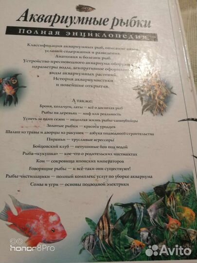 Энциклопедия