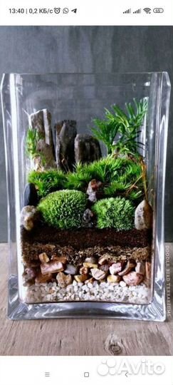 Флорариум+декор(цветной песок и др)