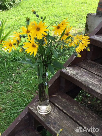 Репетитор по химии и биологии