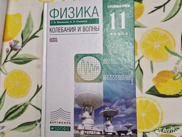 Учебники по физике, углублённым курс, 10-11 кл