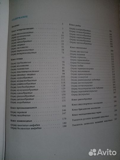 Старые книги