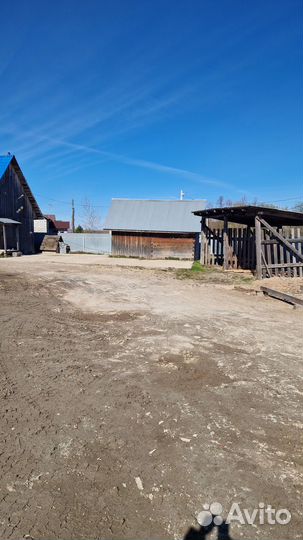 Производство пиломатериала