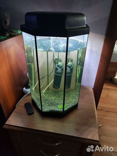 Аквариум