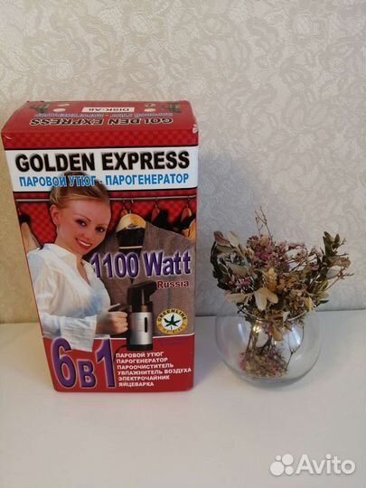 Паровой утюг. Парогенератор