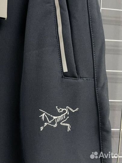 Спортивные штаны Arcteryx