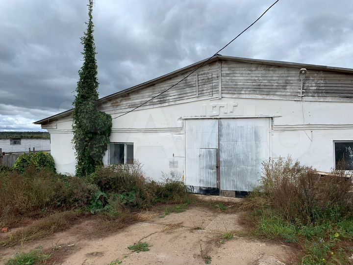 Фермы для содержания крс, 3 х 2000 м²
