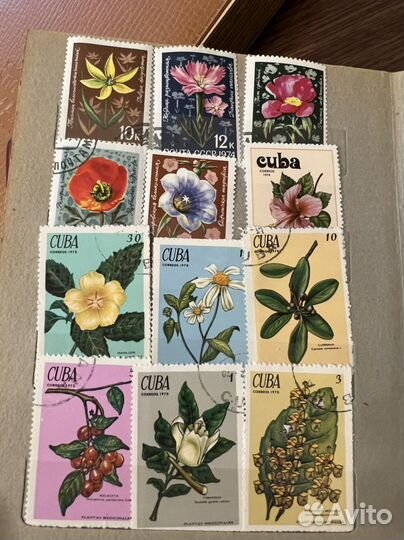 Большая коллекция разных марок