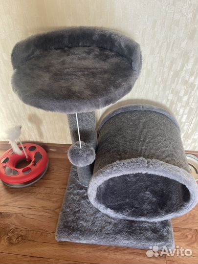 Когтеточка