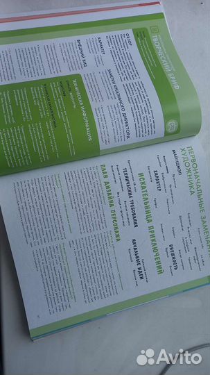 Как создать персонажа для