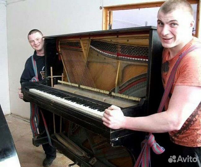 Грузчики трезвые