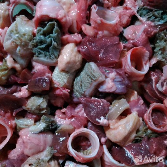 Мясо и субпродукты для собак
