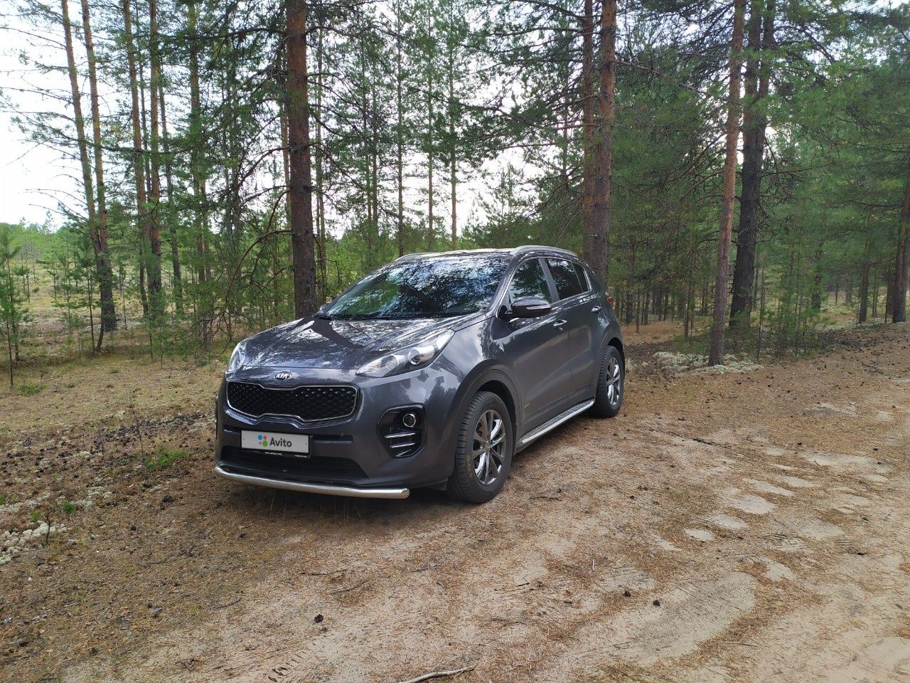 Kia Sportage: фото владельца