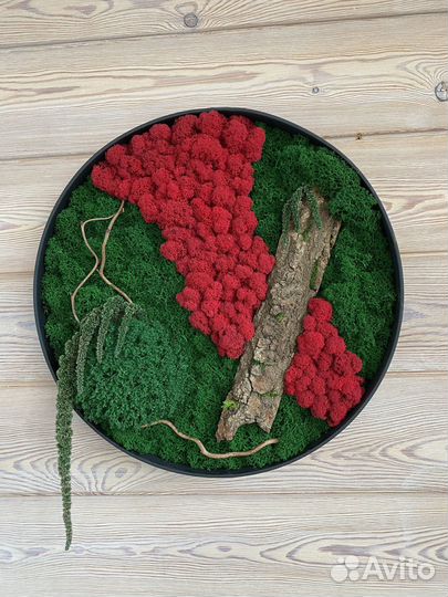 Панели из стабилизированного мха