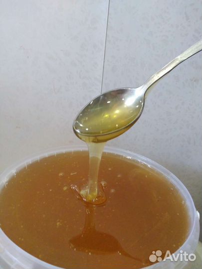 Мёд Липовый (Башкирия )