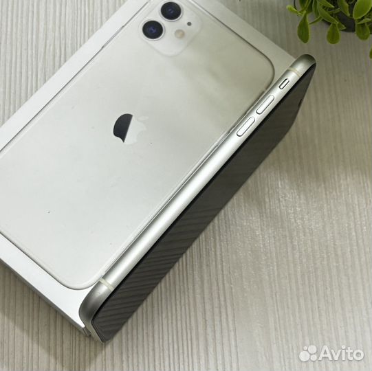 iPhone 11, 256 ГБ