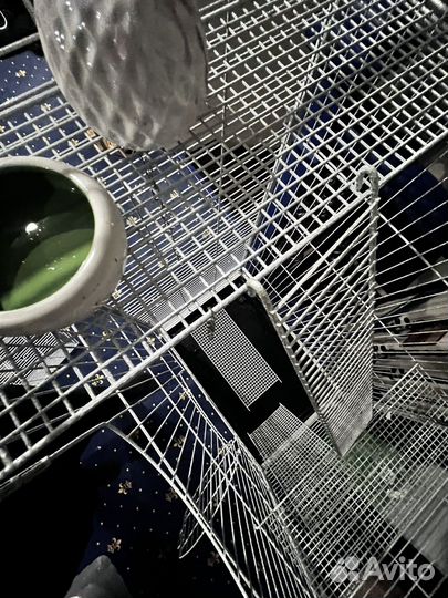 Большая клетка для грызунов