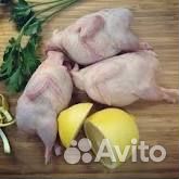 Тушки перепелов