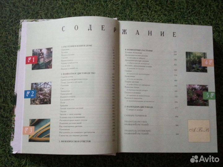 Книга Комнатные растения Большая иллюстрированная