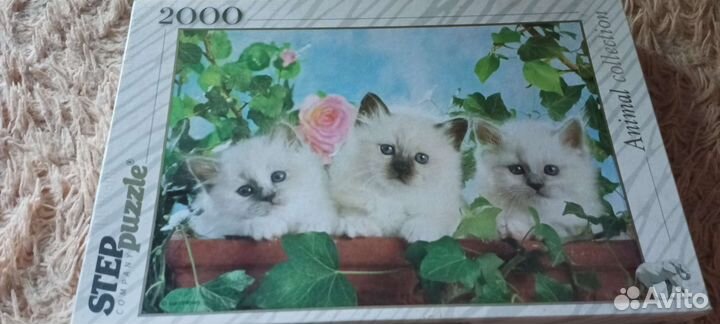 Пазлы 2000 деталей