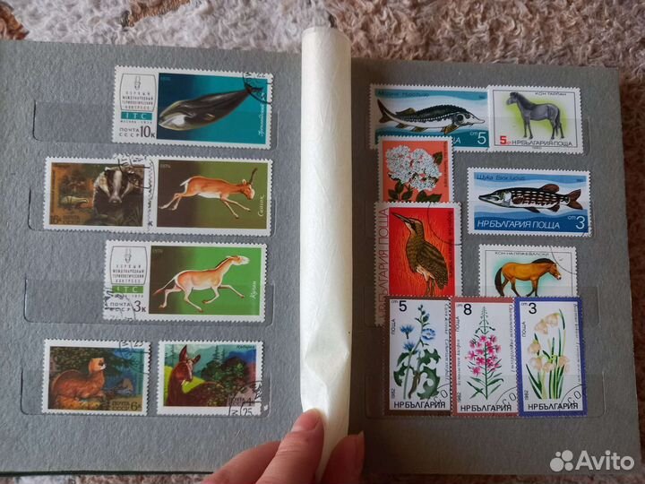 Почтовые марки