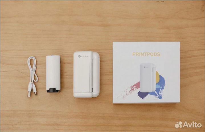 Ручной принтер evebot