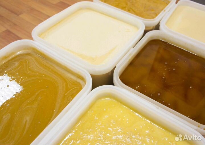 2024 Мед натуральный из Алтая оптом