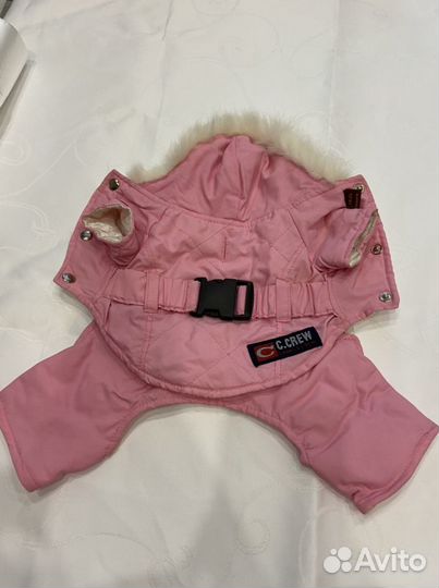 Одежда для собак