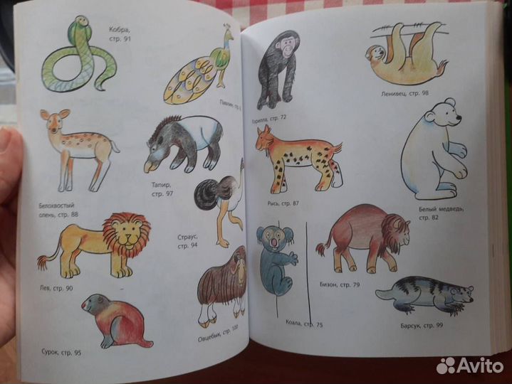 Книга Рисование первые шаги