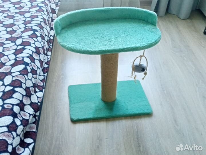 Когтеточка