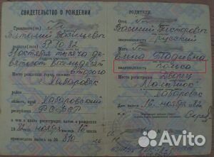 Пмж в Польше по корням