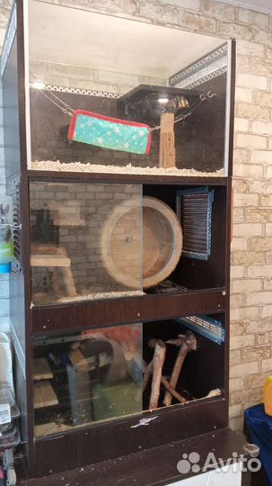 Витрина Клетка для грызунов бу