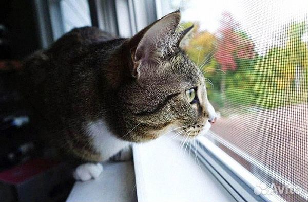 Сетка москитная